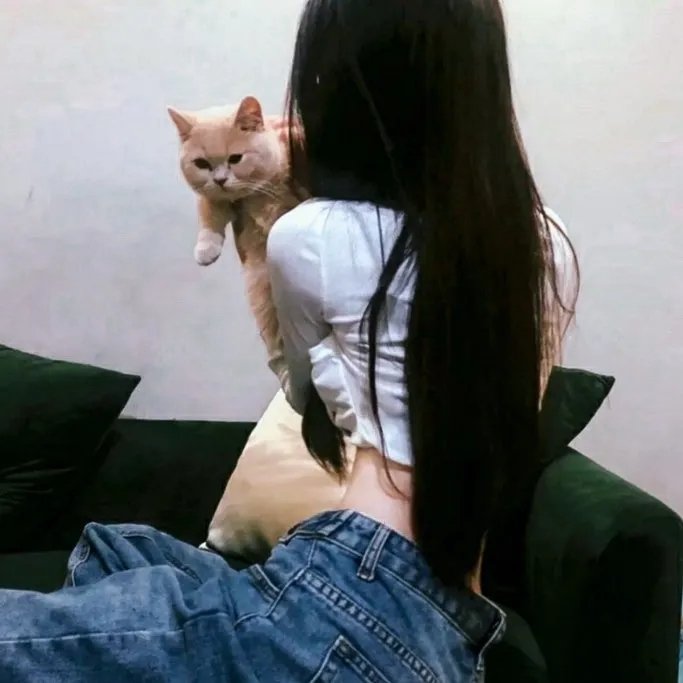 彩凤云裳